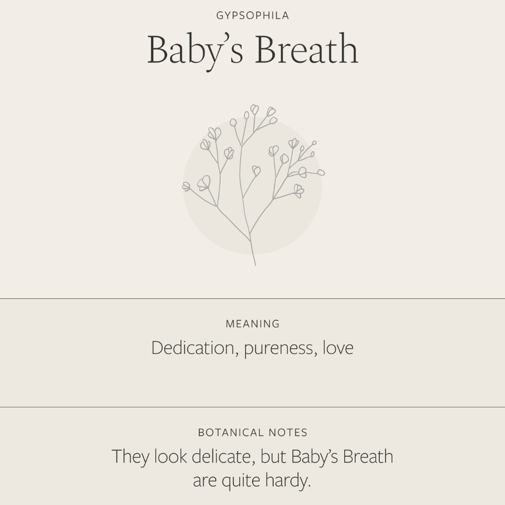 Baby's Breath Floral Bohemian Cute Charm Necklace - Picture 6 of 16